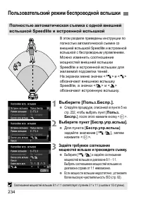 Страница 234