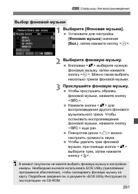 Страница 261