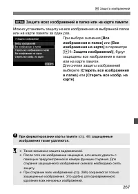 Страница 267