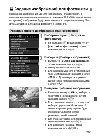 Страница 293