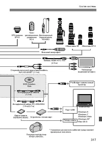 Страница 317