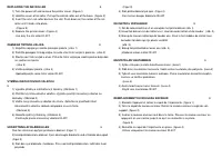 Pagina 32