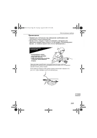 Страница 243