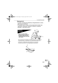 Страница 319
