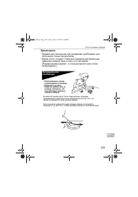 Страница 243