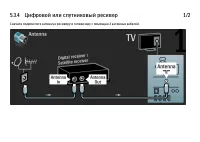 Страница 207