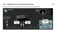 Страница 205