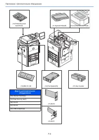 Страница 243