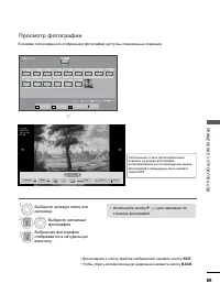 Страница 117