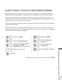 Страница 205