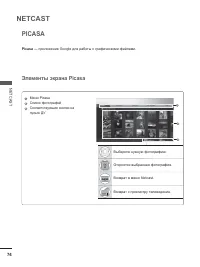 Страница 116