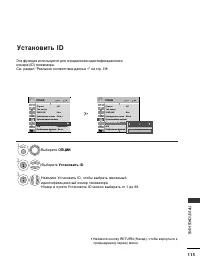 Страница 117