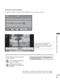 Страница 117