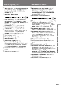 Страница 113