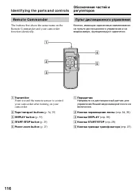 Страница 116