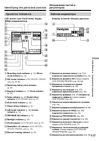 Страница 117