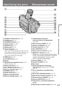 Страница 117