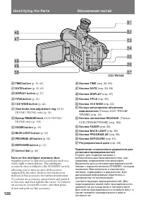 Страница 120