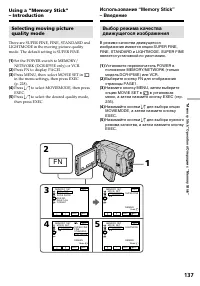 Страница 137