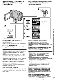 Страница 161