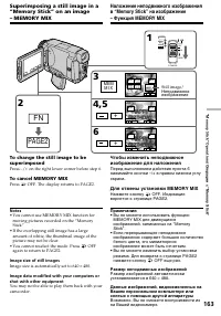 Страница 163