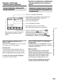 Страница 175