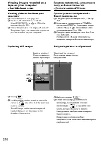 Страница 210