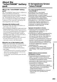 Страница 263