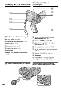 Страница 288