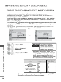 Страница 162