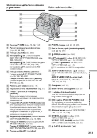 Страница 313