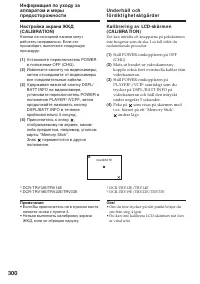 Страница 300