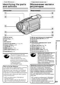 Страница 231