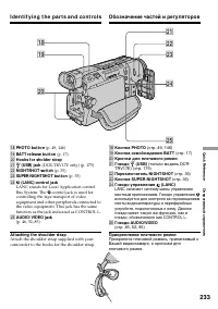 Страница 233
