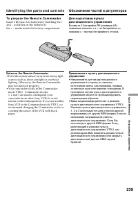 Страница 239