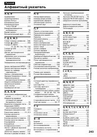 Страница 243