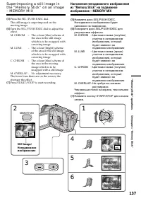 Страница 137