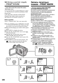 Страница 166