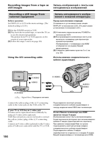 Страница 186