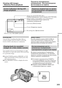Страница 203