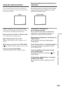 Страница 233