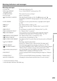 Страница 243