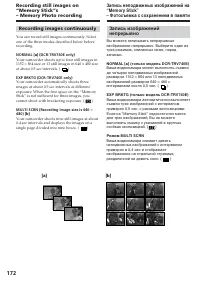 Страница 172