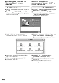 Страница 214