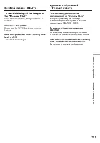 Страница 229