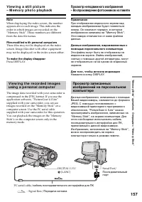 Страница 157