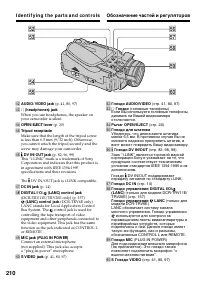 Страница 210