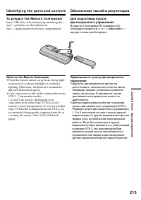 Страница 213