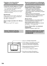 Страница 164