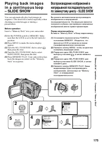 Страница 175